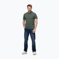 Men's Pitbull Washed Polo Shirt sage green 2