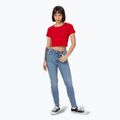 Pitbull Cropped red women's t-shirt 2