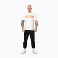 Men's Pitbull Blacky white t-shirt 2
