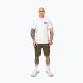 Pitbull Hero men's t-shirt white 2