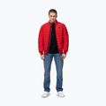Men's jacket Pitbull Naylor Padded red 2