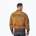 Men's jacket Pitbull Radford Baseball honey yellow 3