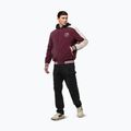 Men's jacket Pitbull Manolito Baseball burgundy 5