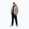 Men's winter jacket Pitbull Airway 4 Padded Hooded pale sand 2