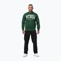 Men's sweatshirt Pitbull Norton Crewneck green 2