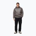 Men's sweatshirt Pitbull So Cal Hooded taupe 2