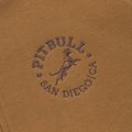 Men's sweatshirt Pitbull San Diego Ca Hooded Zip honey yellow 10