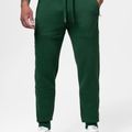 Men's trousers Pitbull Small Logo HD Track hunter green