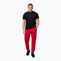 Men's trousers Pitbull Small Logo HD Track red 2