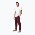 Men's trousers Pitbull Hilltop Track Hatton burgundy 2