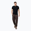Men's trousers Pitbull Hilltop Track Hatton dark chocolate 4