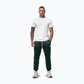 Men's trousers Pitbull Trackpants Tape Logo Terry Group bottle green 2