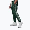 Men's trousers Pitbull Trackpants Tape Logo Terry Group bottle green 5