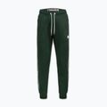 Men's trousers Pitbull Trackpants Tape Logo Terry Group bottle green 6
