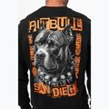 Men's sweatshirt Pitbull Crewneck Blacky black 4
