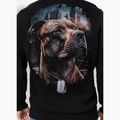 Men's sweatshirt Pitbull Hero Hooded black 3