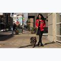Women's jacket Pitbull Angela San Diego Hooded Varsity fluo/red 17