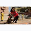 Women's jacket Pitbull Angela San Diego Hooded Varsity fluo/red 19