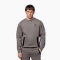 Men's sweatshirt Pitbull Dogwood Crewneck Sweatshirt taupe