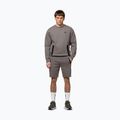 Men's sweatshirt Pitbull Dogwood Crewneck Sweatshirt taupe 2