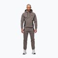 Men's sweatshirt Pitbull Dogwood Hooded Sweatshirt taupe 2