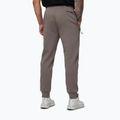 Men's trousers Pitbull Dogwood Track taupe 3