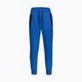 Men's trousers Pitbull Dogwood Track imperial blue 4