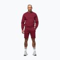 Men's sweatshirt Pitbull Sampson Crewneck Sweatshirt burgundy 2