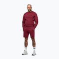 Men's sweatshirt Pitbull Sampson Crewneck Sweatshirt burgundy 4