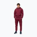 Men's sweatshirt Pitbull Sampson Hooded Sweatshirt burgundy 2