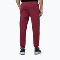 Men's trousers Pitbull Sampson Track burgundy 3