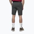 Men's shorts Pitbull Sampson grey/green 3
