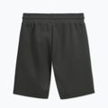 Men's shorts Pitbull Sampson grey/green 5