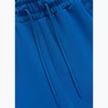 Men's trousers Pitbull Track Powers azure blue 5
