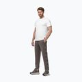 Men's trousers Pitbull Track Powers taupe 2
