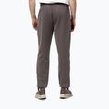 Men's trousers Pitbull Track Powers taupe 3
