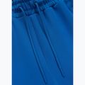 Men's shorts Pitbull Track Powers azure blue 5