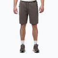 Men's shorts Pitbull Track Powers taupe