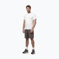 Men's shorts Pitbull Track Powers taupe 2