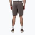 Men's shorts Pitbull Track Powers taupe 3