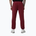 Men's trousers Pitbull Track San Diego burgundy 3