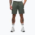 Men's shorts Pitbull Nugget Small Logo sage green