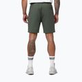 Men's shorts Pitbull Nugget Small Logo sage green 3