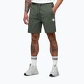 Men's shorts Pitbull Nugget Small Logo sage green 5