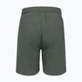 Men's shorts Pitbull Nugget Small Logo sage green 7