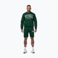 Men's sweatshirt Pitbull Badger Crewneck hunter/green 2
