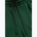 Men's trousers Pitbull Badger Track hunter green 6