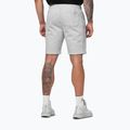 Men's shorts Pitbull Badger grey/melange 3