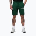Men's shorts Pitbull Badger hunter green