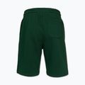 Men's shorts Pitbull Badger hunter green 5